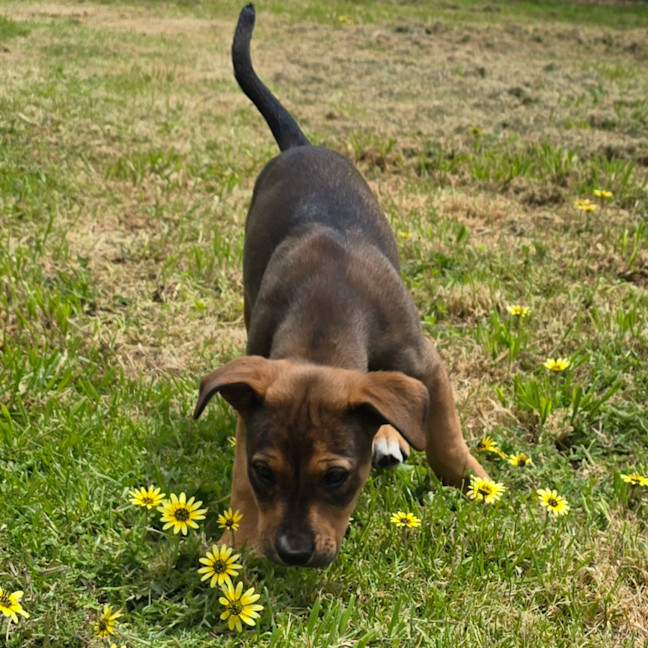 Photo of Princess Bubblegum