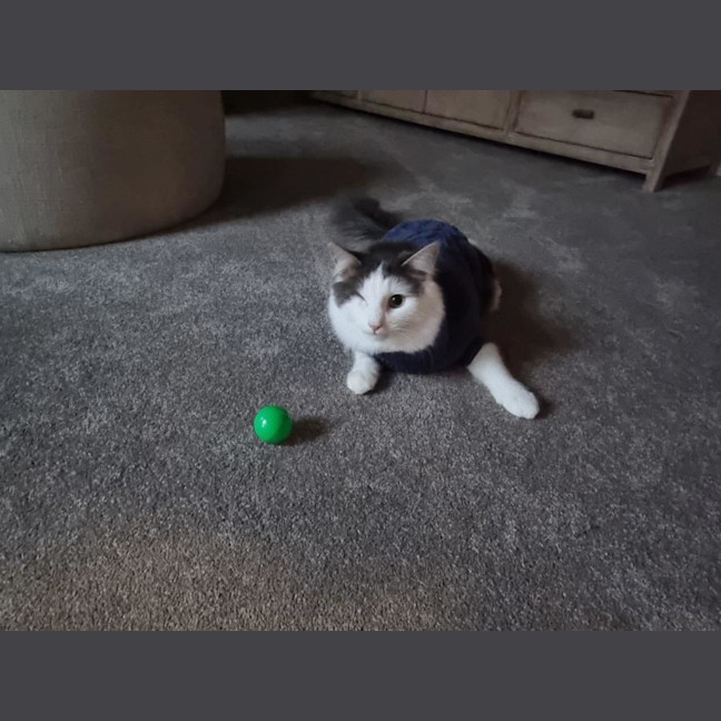 Photo of Pablo Moriarty