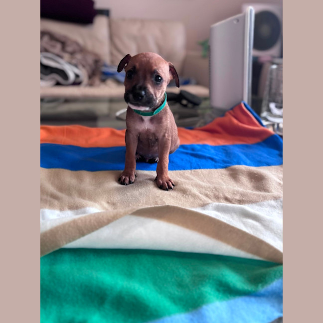 Photo of Charlie