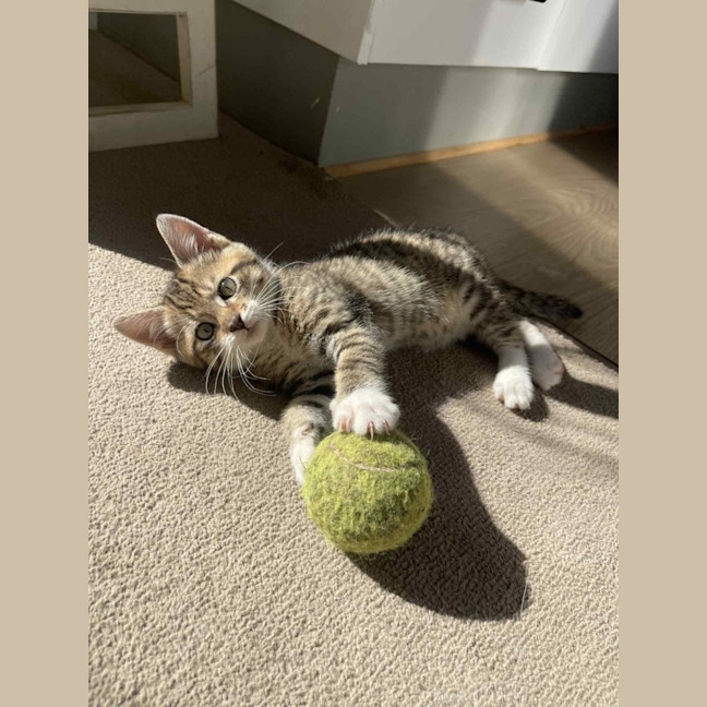 Photo of Oliver And Daisy 