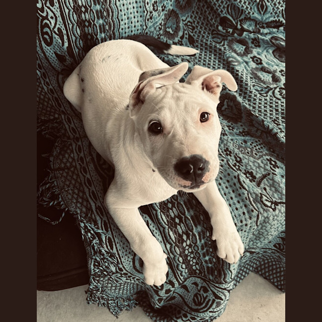 Photo of Molly