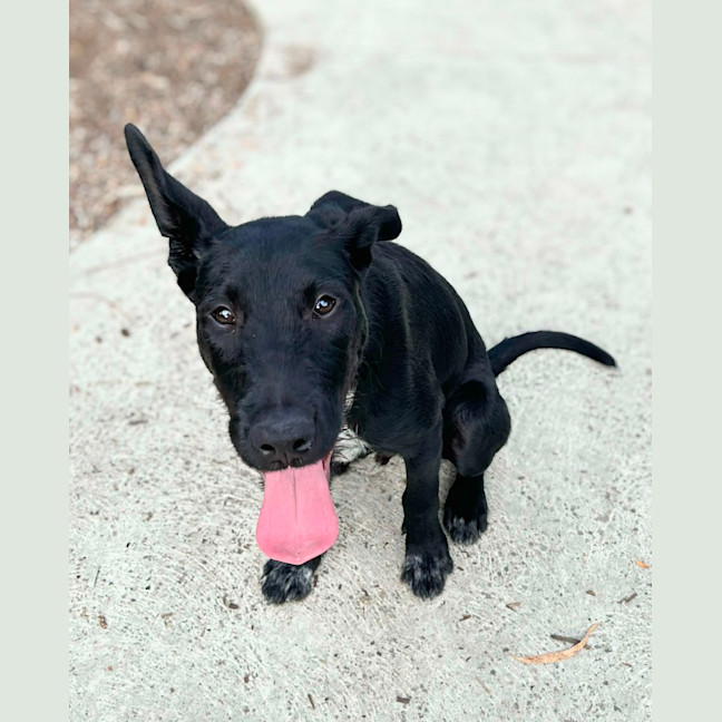 Photo of 🌱 Barnaby 5938 🌱