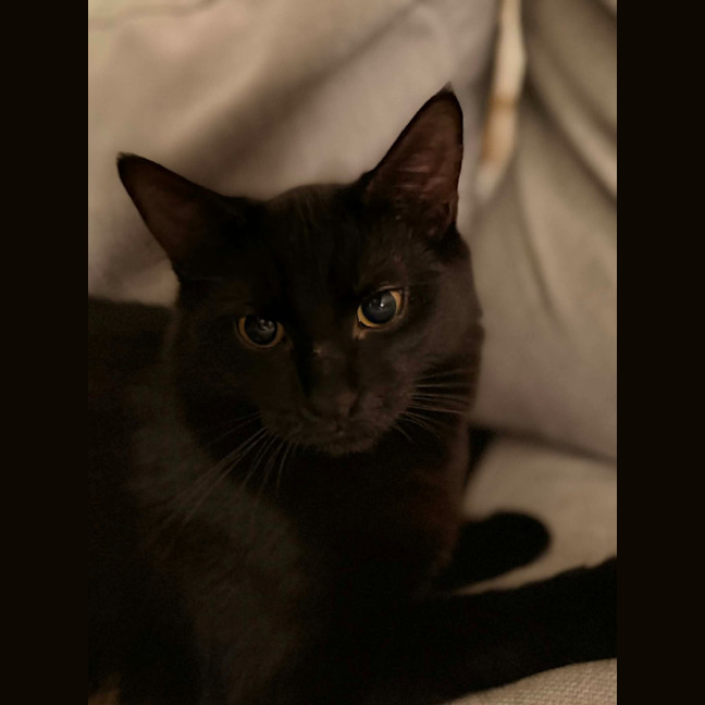 Photo of Nil