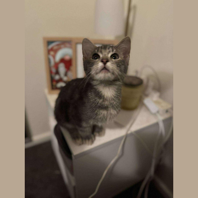Photo of Max