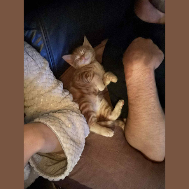 Photo of Charlie   Located In Preston