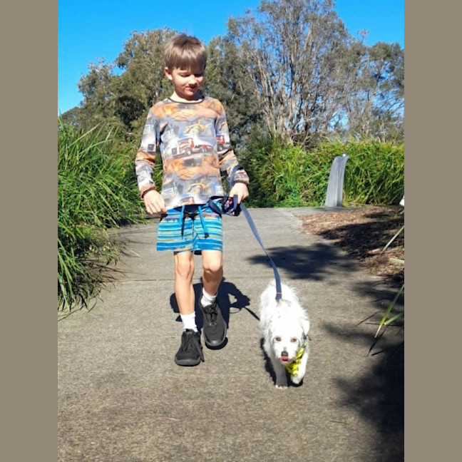 Photo of Gus   11 Year Old Jack Russell X