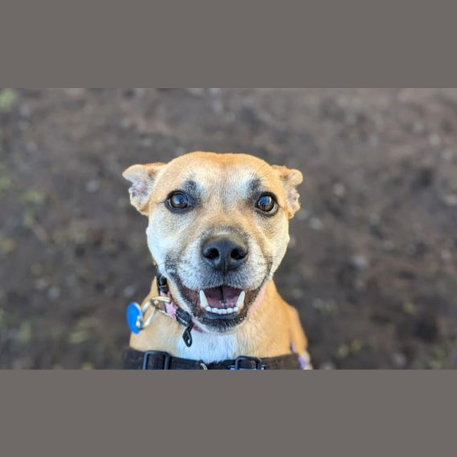 Photo of Polly