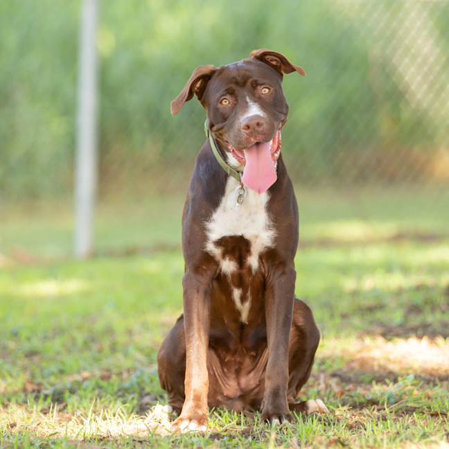 Photo of Molly