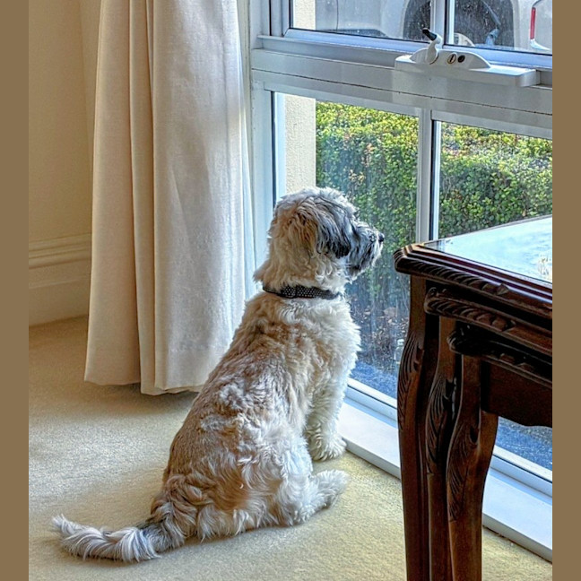 Photo of Maggie