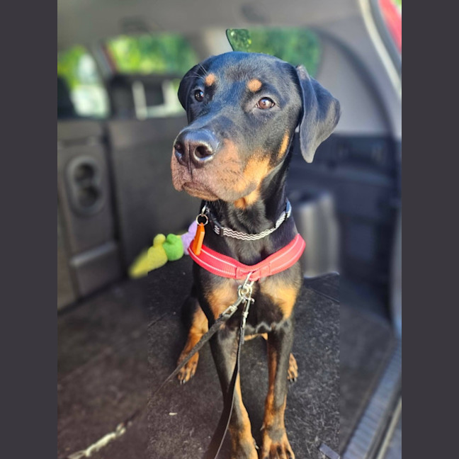 Photo of Murphy