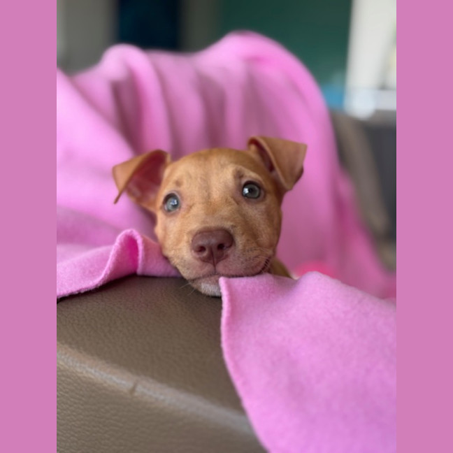 Photo of Cleo
