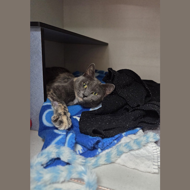 Photo of Maybelle