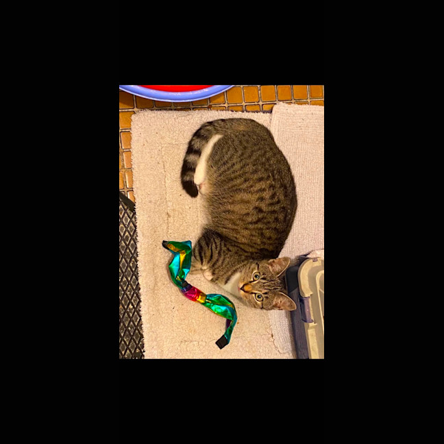 Photo of Boots