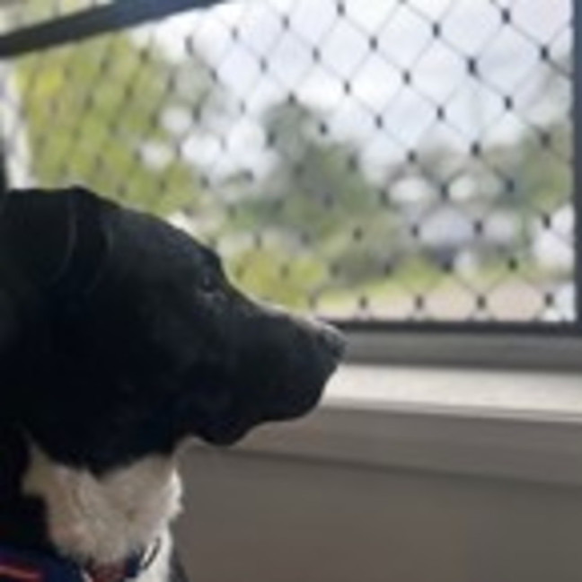 Photo of Bentley
