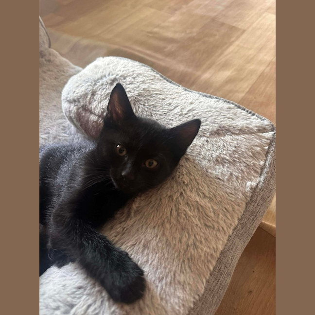 Photo of Hex