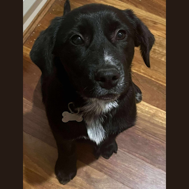 Photo of Roxie