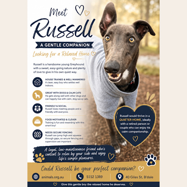 Photo of Russell