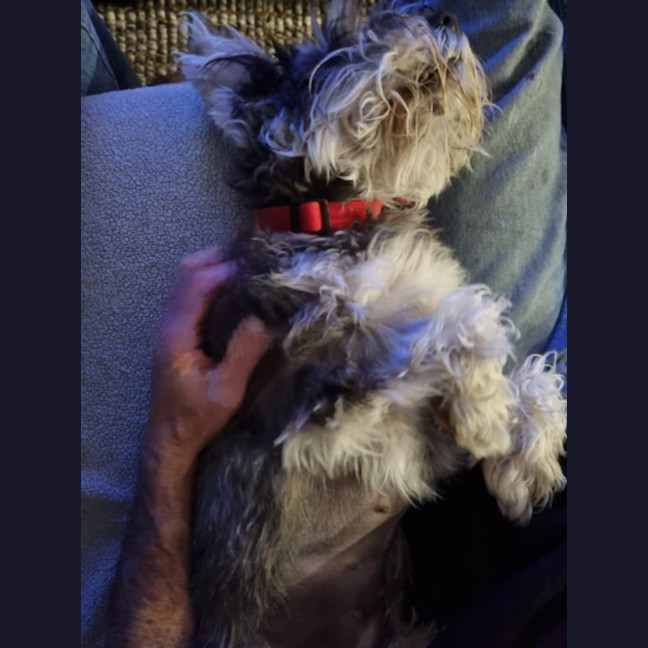 Photo of Cali And Theo