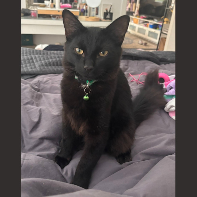 Photo of Watson