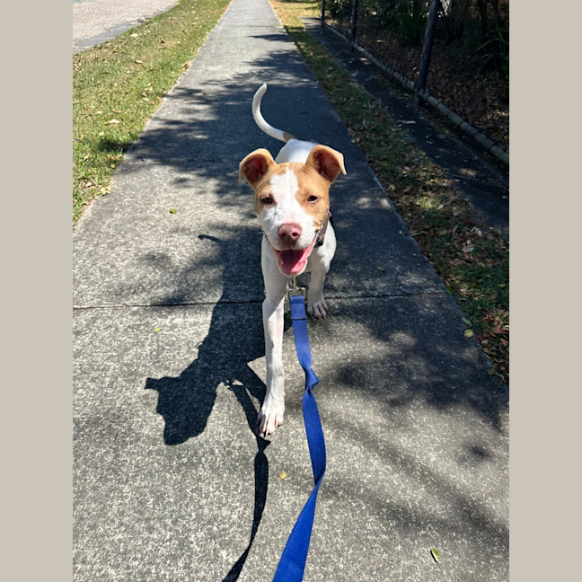Photo of Bella