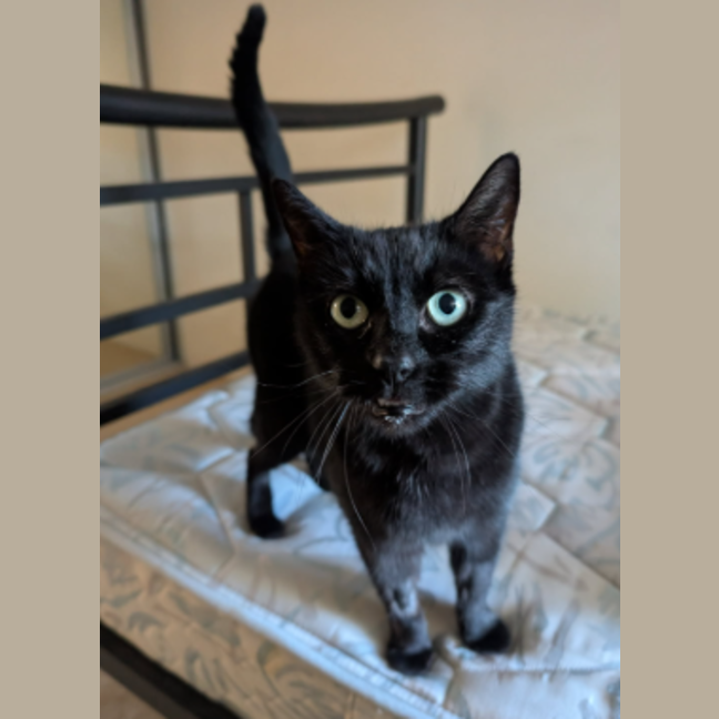 Photo of Lucy
