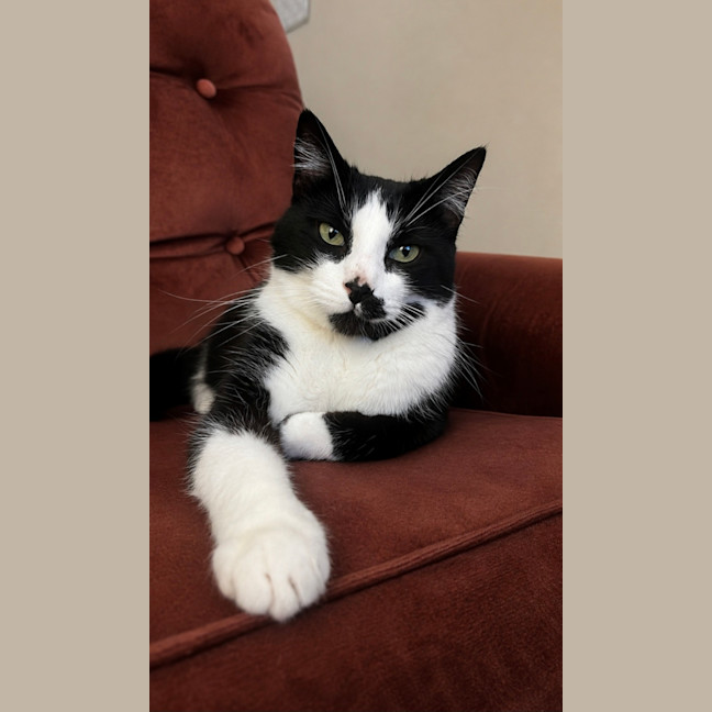 Photo of Theodore 