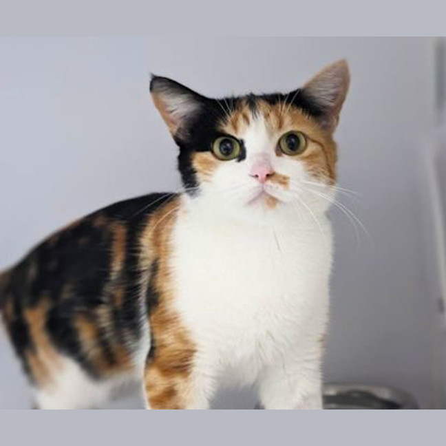 Photo of Mildred