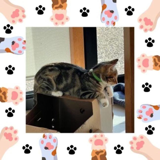 Photo of Gert