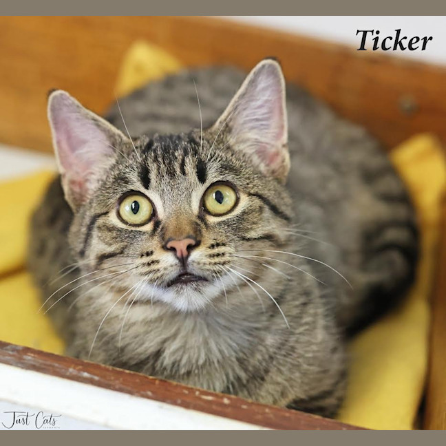 Photo of Ticker