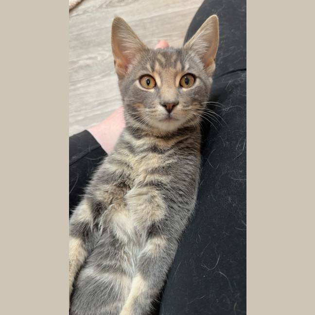 Photo of Morty