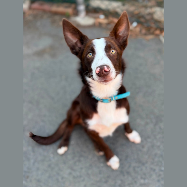 Photo of Mickey