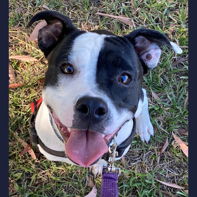 Photo of Murphy