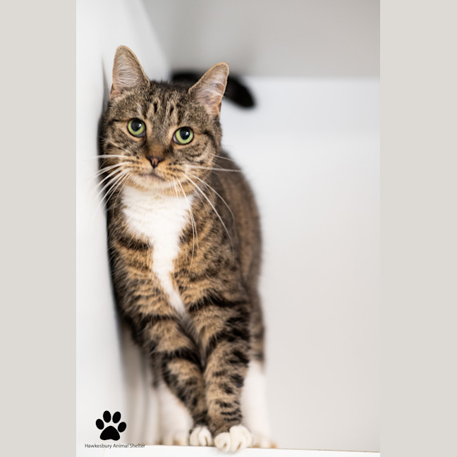 Photo of Tiggy