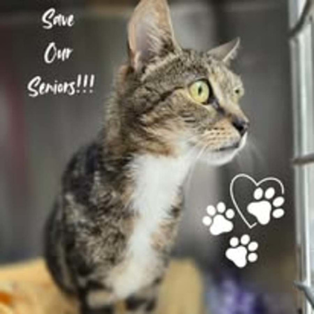 Photo of Sammy Sparrow