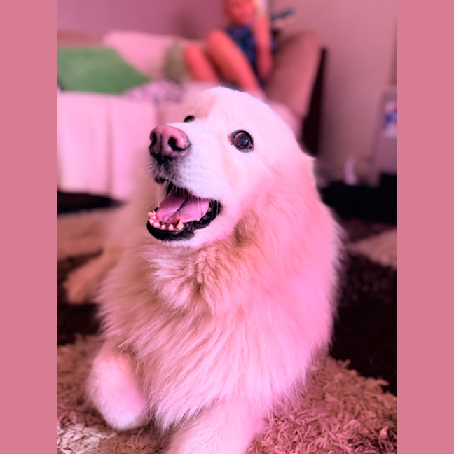 Photo of Luna