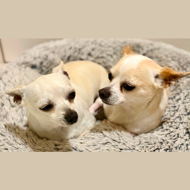 Photo of Mickey & Minnie