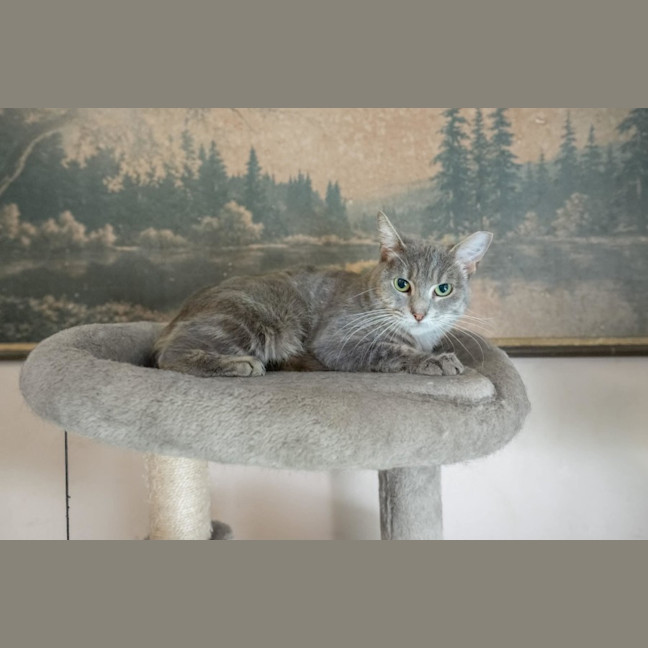 Photo of Blair 