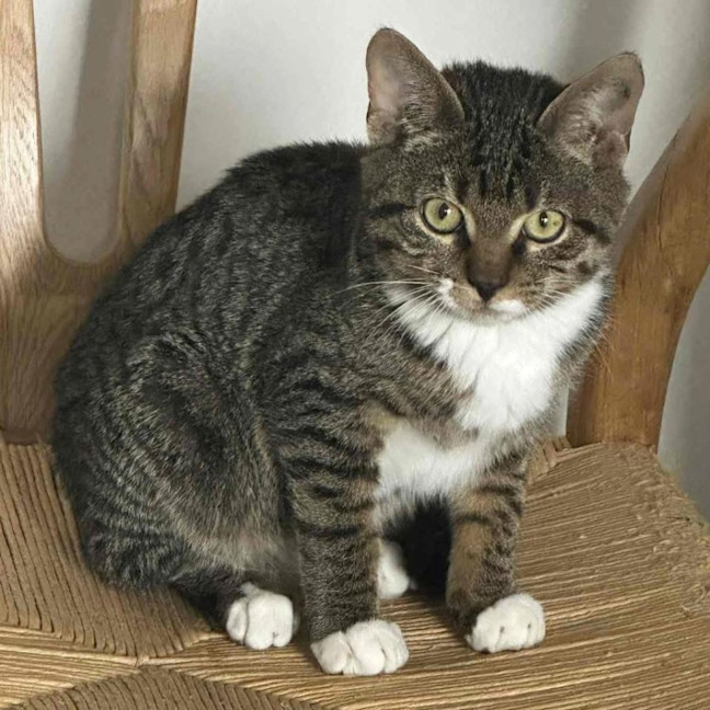 Photo of 12440   Mateo