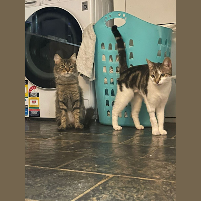 Photo of Ellie & Munchie