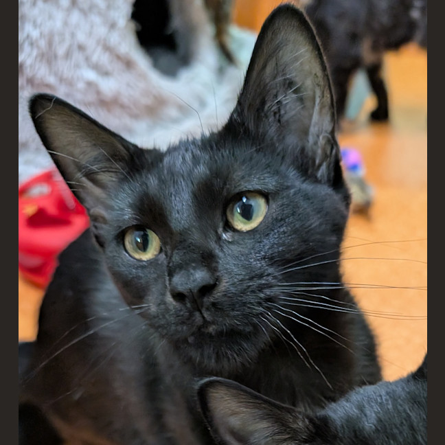 Photo of Andy