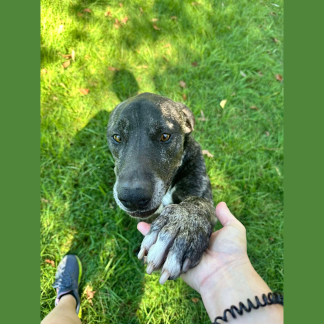 Photo of Coco & Rome 