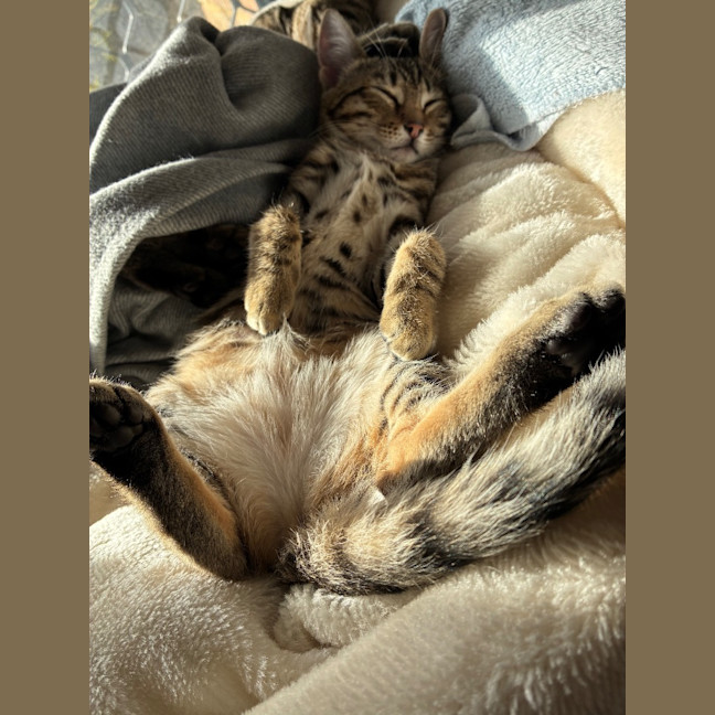 Photo of Faye