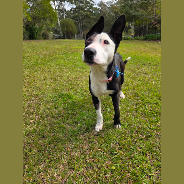 Photo of Annie