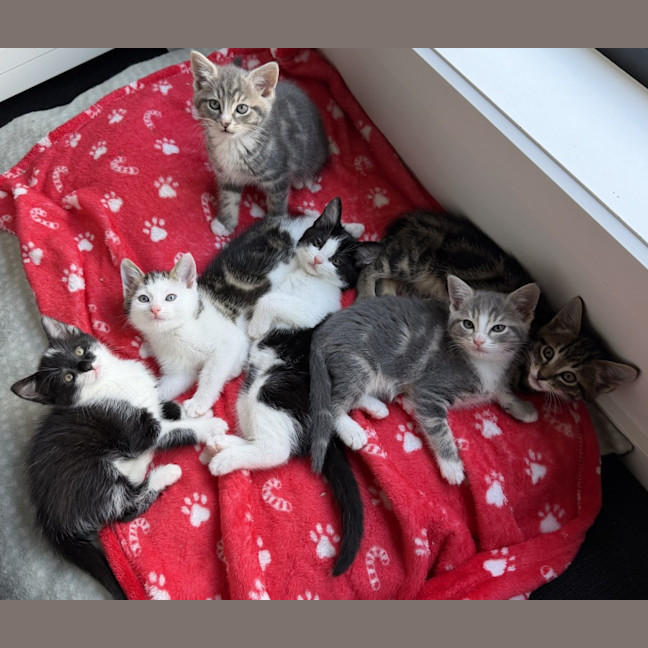 Photo of Milford 💙