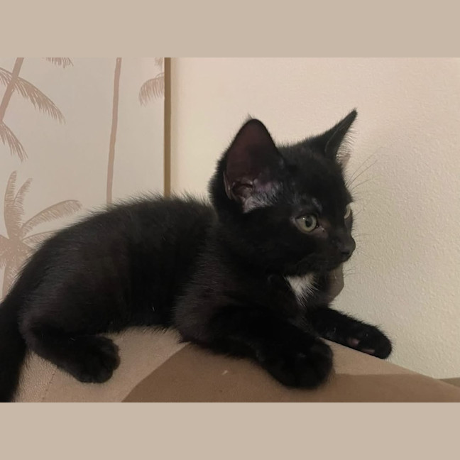 Photo of Johnny Walker