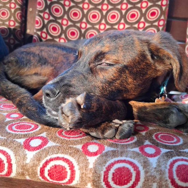 Photo of Georgie Girl