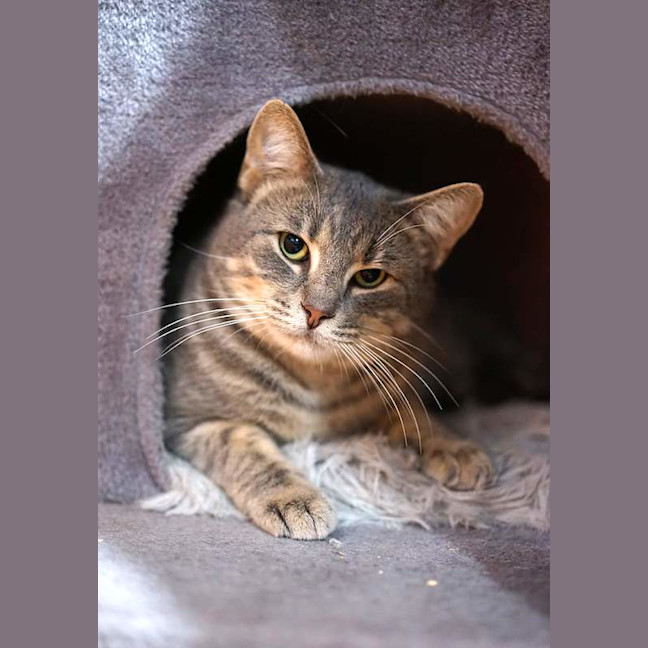Photo of Hugo