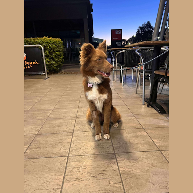 Photo of Coco