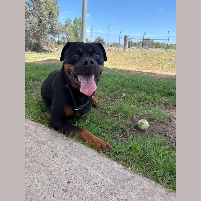 Photo of Cleo