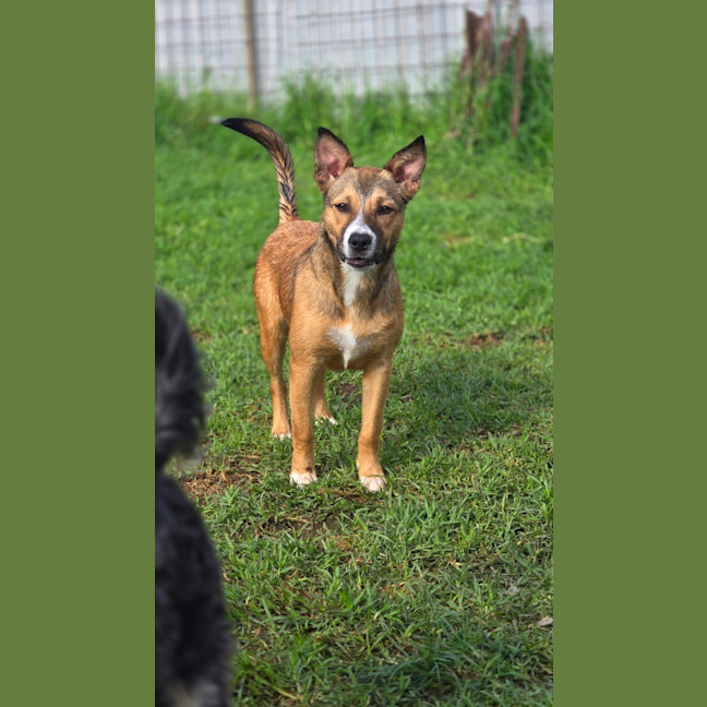 Photo of Edie